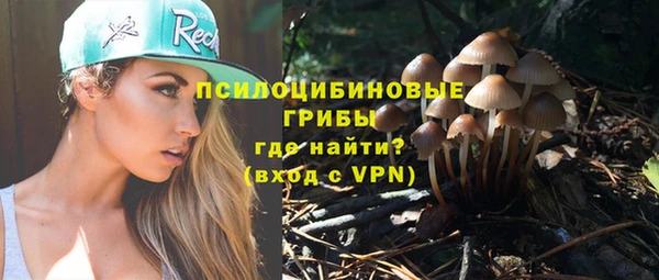 дурь Семёнов