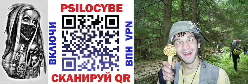 где можно купить наркотик  Старица  blacksprut онион  Псилоцибиновые грибы мицелий 